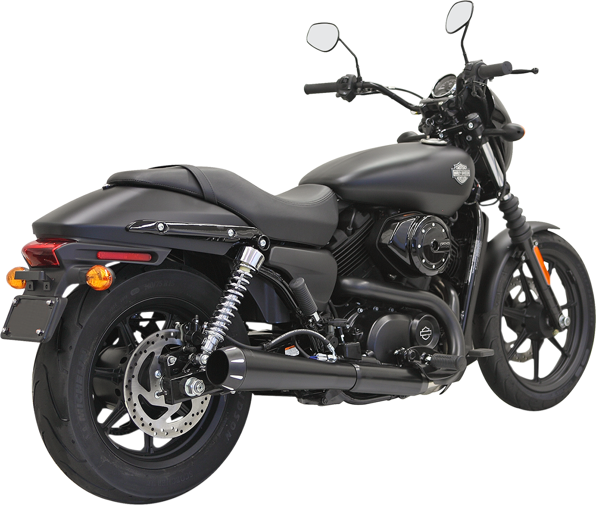 BASSANI XHAUST - 18010741