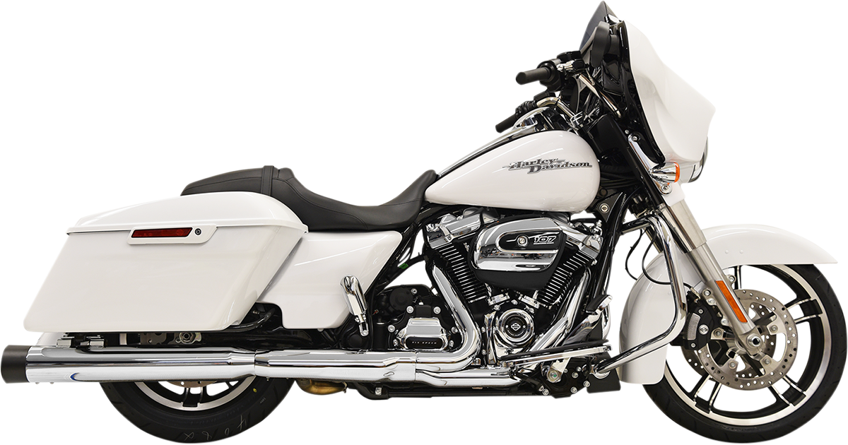 BASSANI XHAUST - 18011082