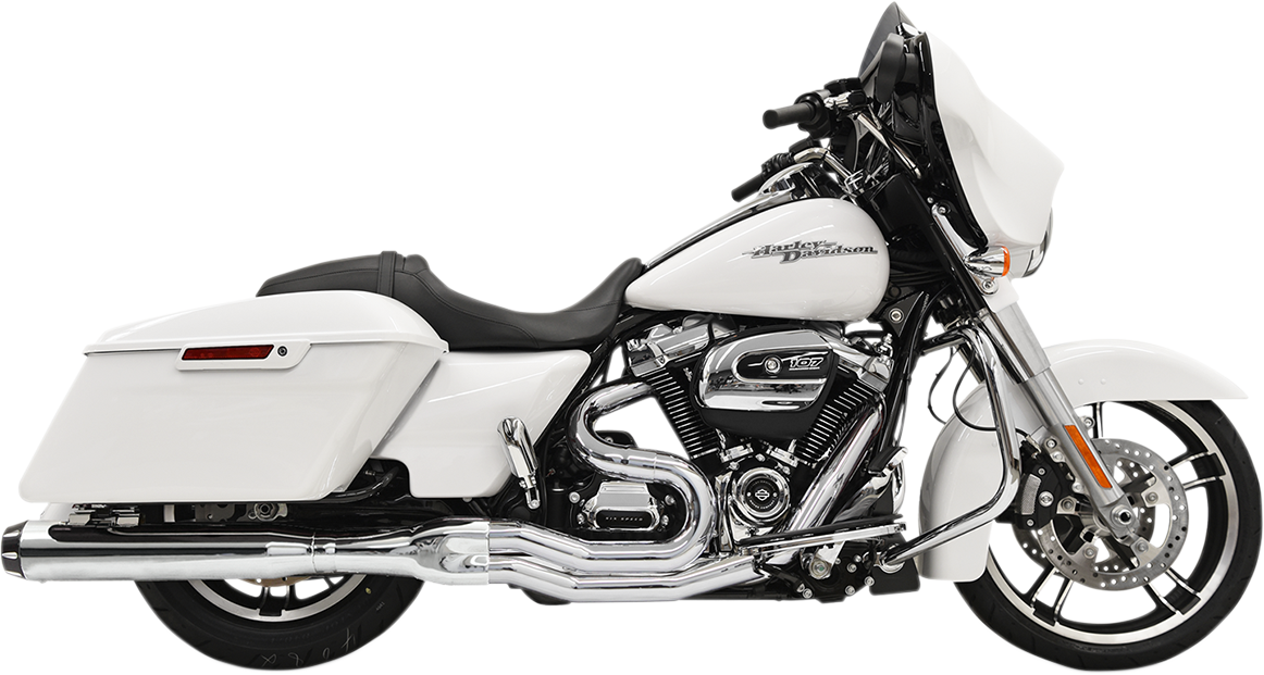 BASSANI XHAUST - 18002131
