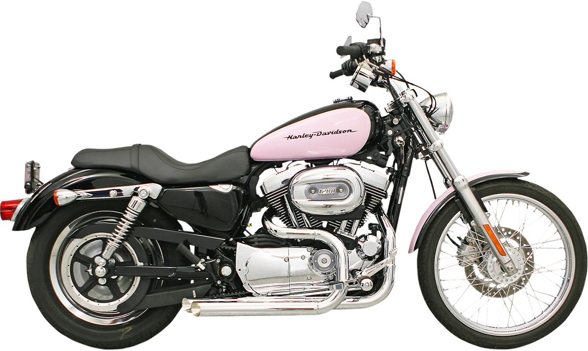 BASSANI XHAUST - 18000647
