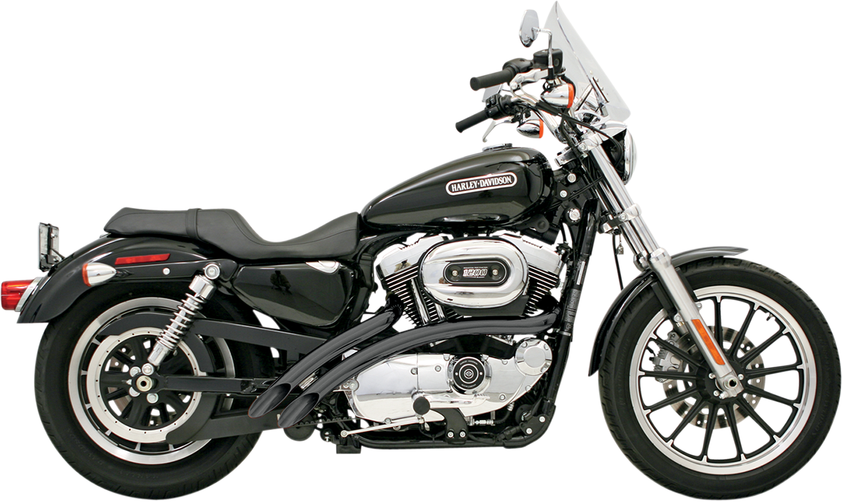 BASSANI XHAUST - 18001253