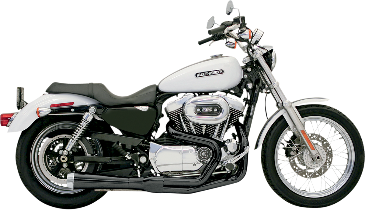 BASSANI XHAUST - 18001271