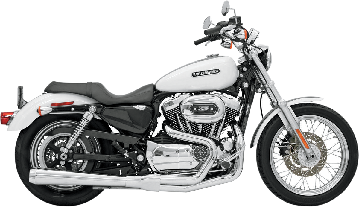BASSANI XHAUST - 18001168