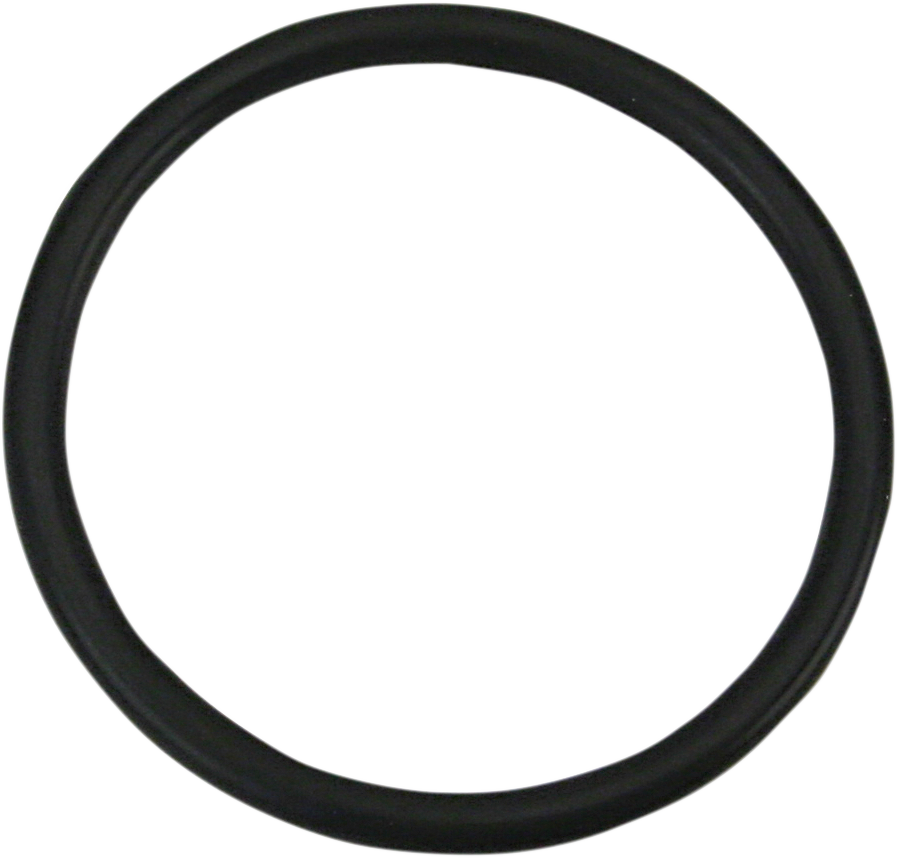 S&S CYCLE - 09350869
