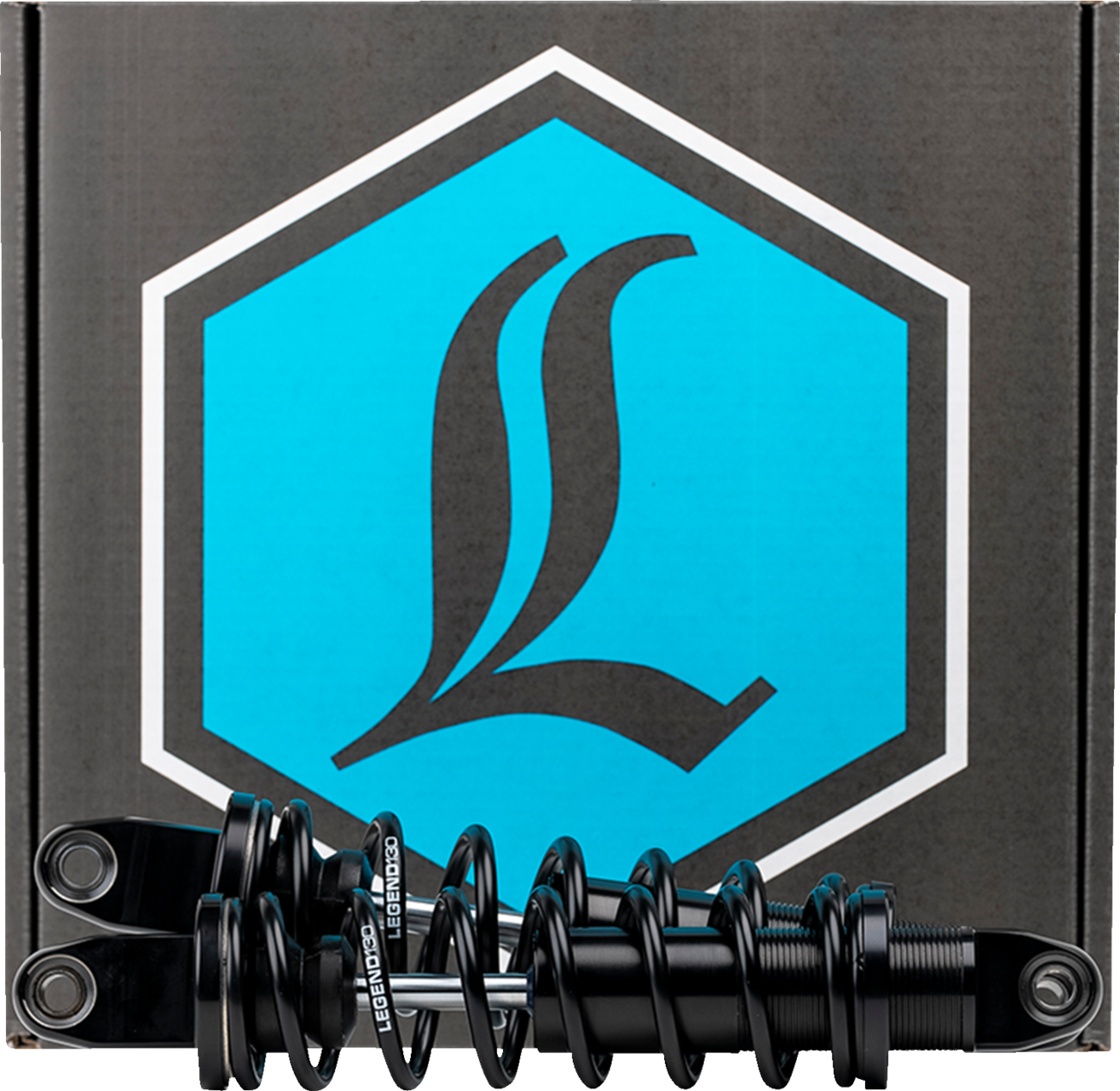 LEGEND SUSPENSION - 13102311