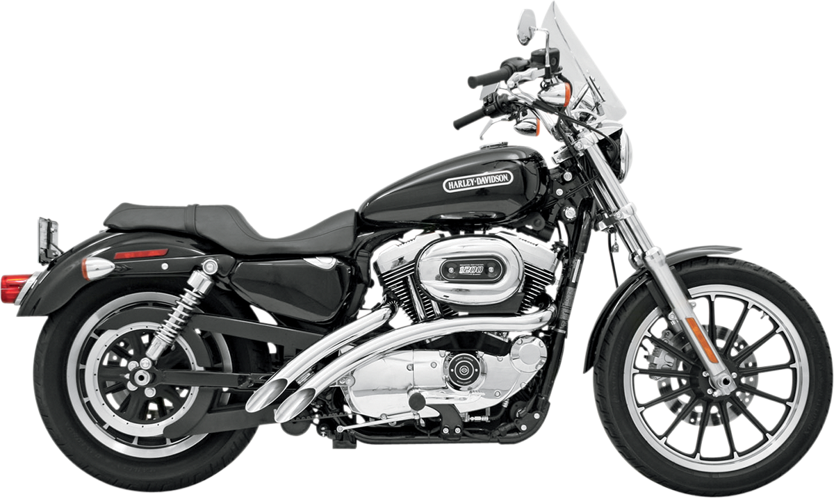 BASSANI XHAUST - 18000651