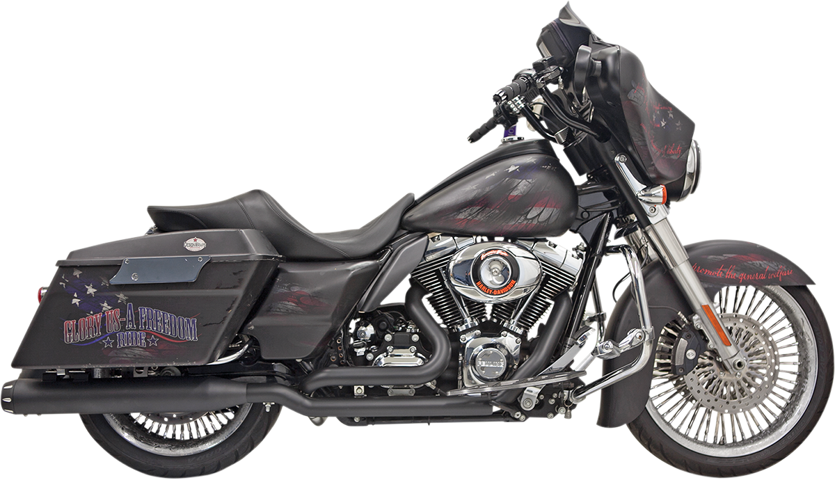BASSANI XHAUST - 18001901