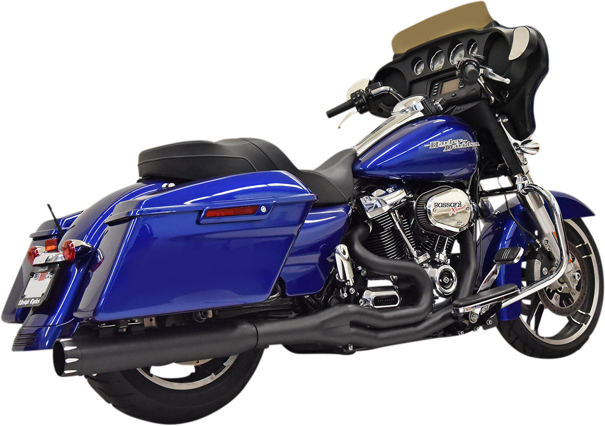 BASSANI XHAUST - 18002493