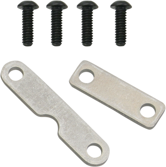 S&S CYCLE - 09500891