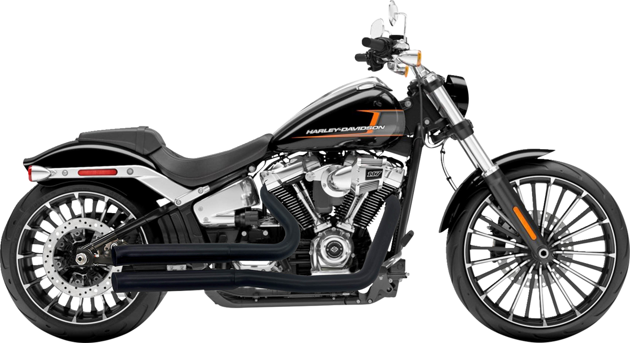 BASSANI XHAUST - 18002279