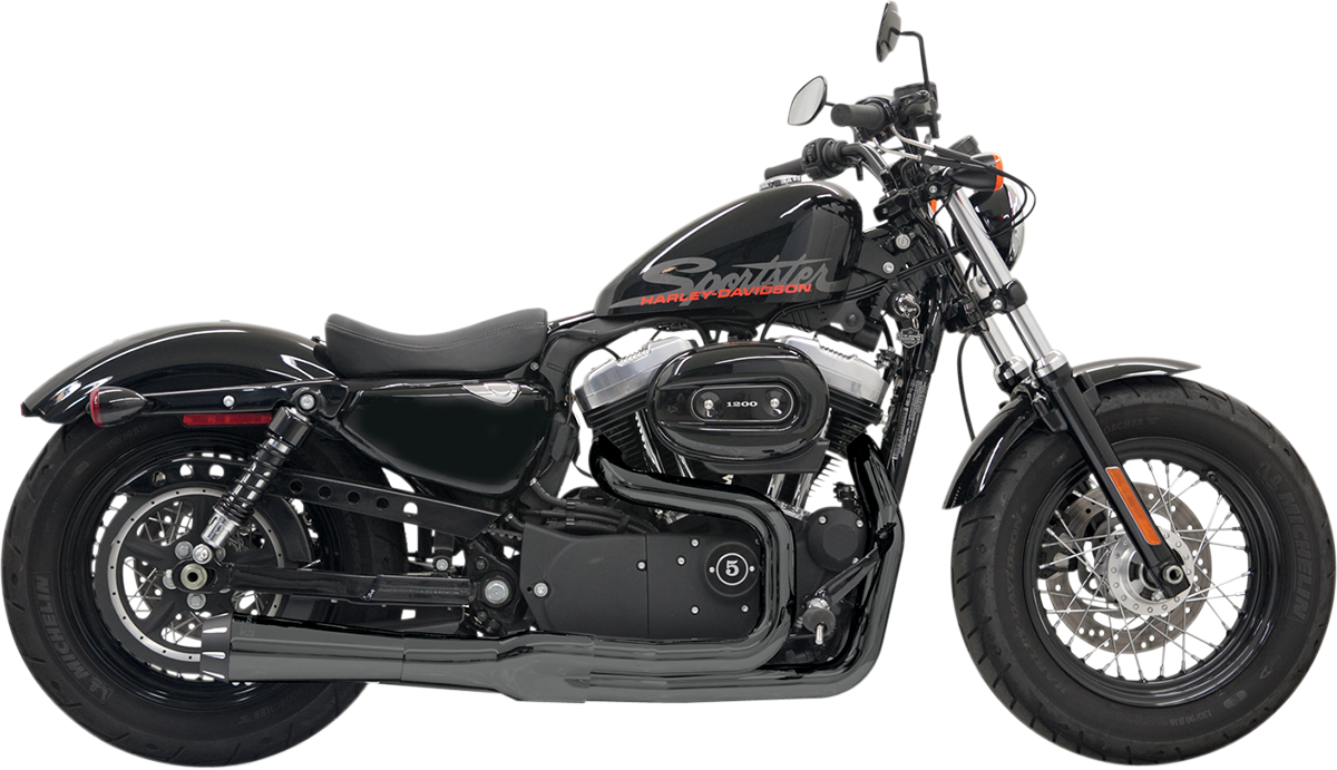 BASSANI XHAUST - 18001557