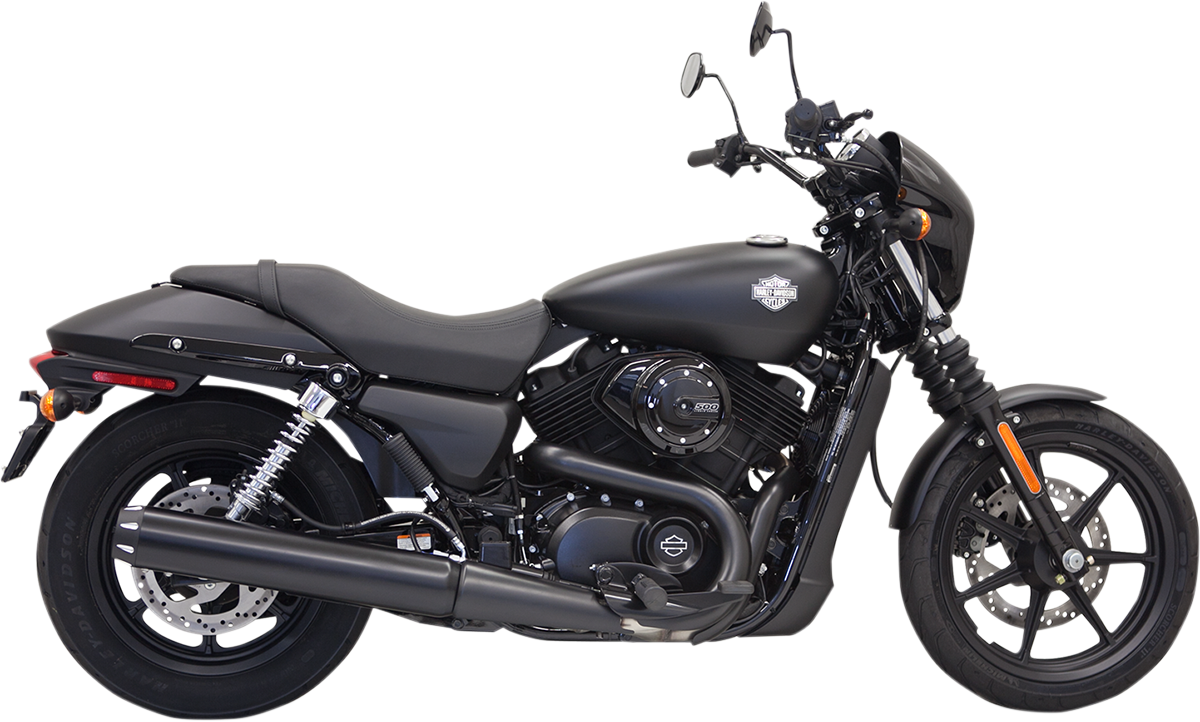 BASSANI XHAUST - 18010791
