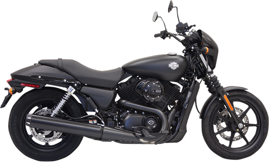 BASSANI XHAUST - 18010791