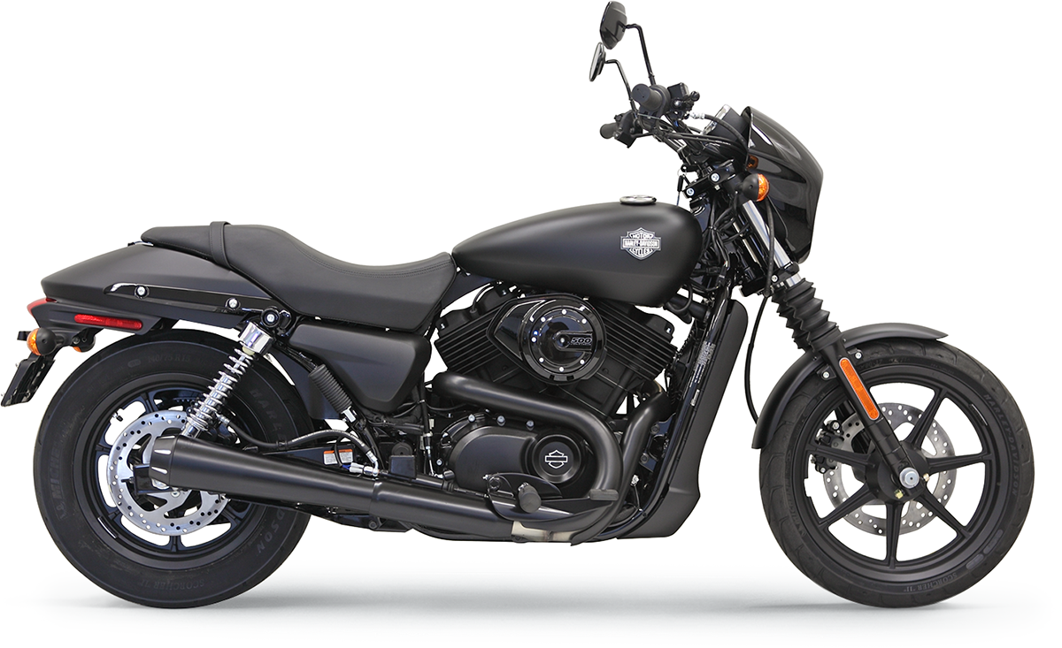 BASSANI XHAUST - 18010741