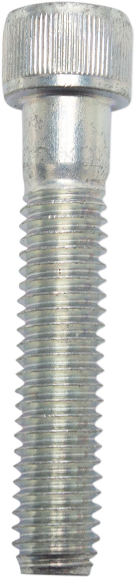 S&S CYCLE - 10031733