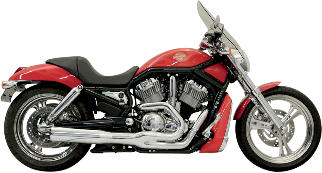 BASSANI XHAUST - 18001319