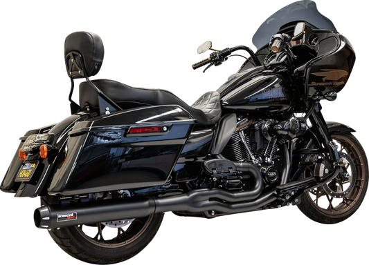 BASSANI XHAUST - 18002642