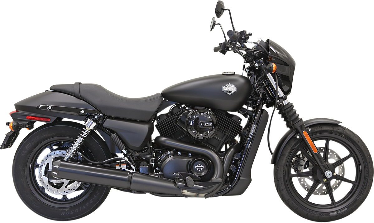 BASSANI XHAUST - 18010742