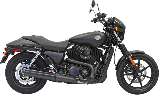 BASSANI XHAUST - 18010742