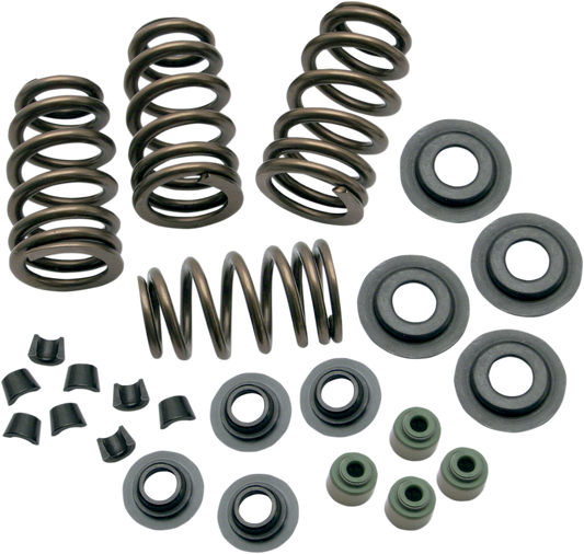 S&S CYCLE - 09262069