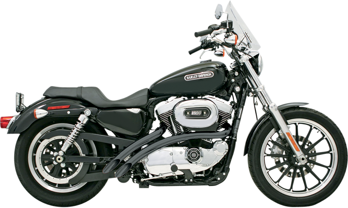 BASSANI XHAUST - 18000847