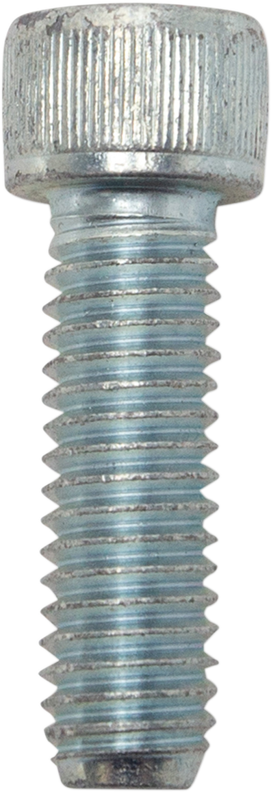 S&S CYCLE - 10031731