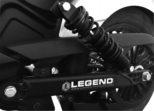 LEGEND SUSPENSION - 13101739